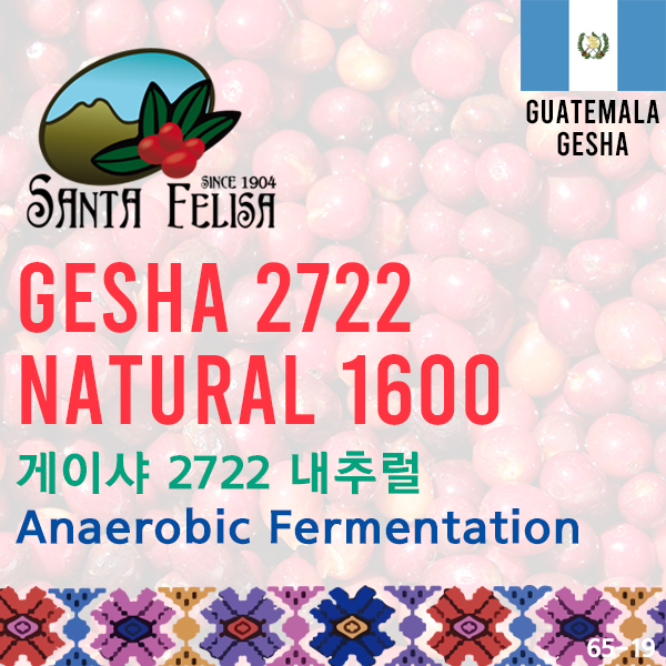 Gesha 2722 Natural 1600 Anaerobic Fermentation(SOLD OUT)