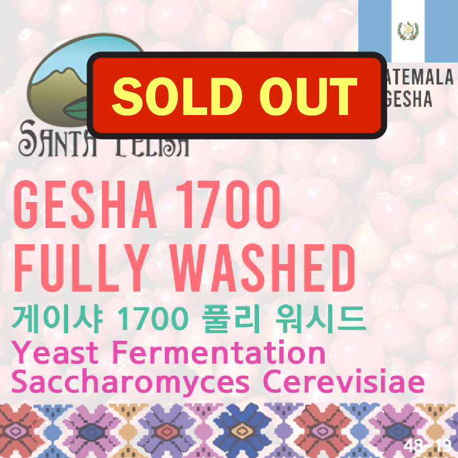 Gesha 1700 Fully Washed