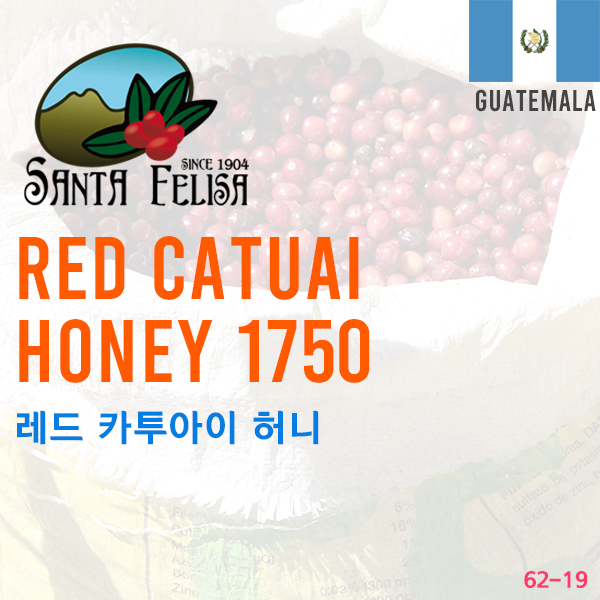 Red Catuai Honey 1750 (SOLD OUT)