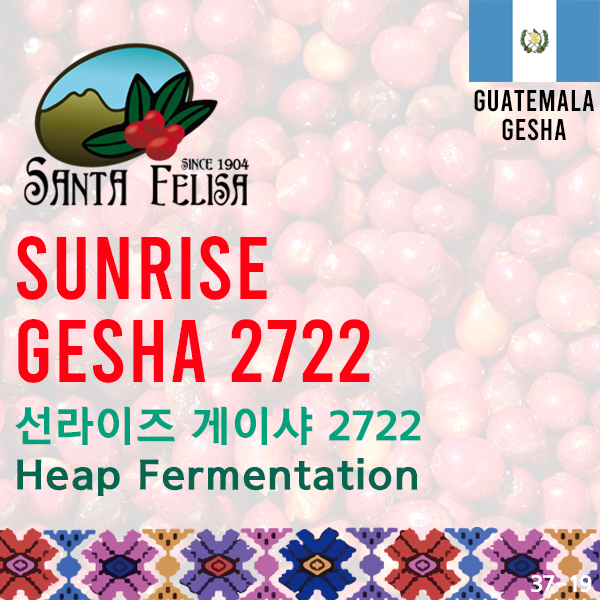 Sunrise Gesha 2722(SOLD OUT)