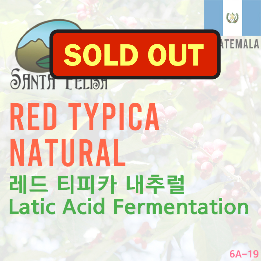 Red Typica Natural Latic Acid Fermentation