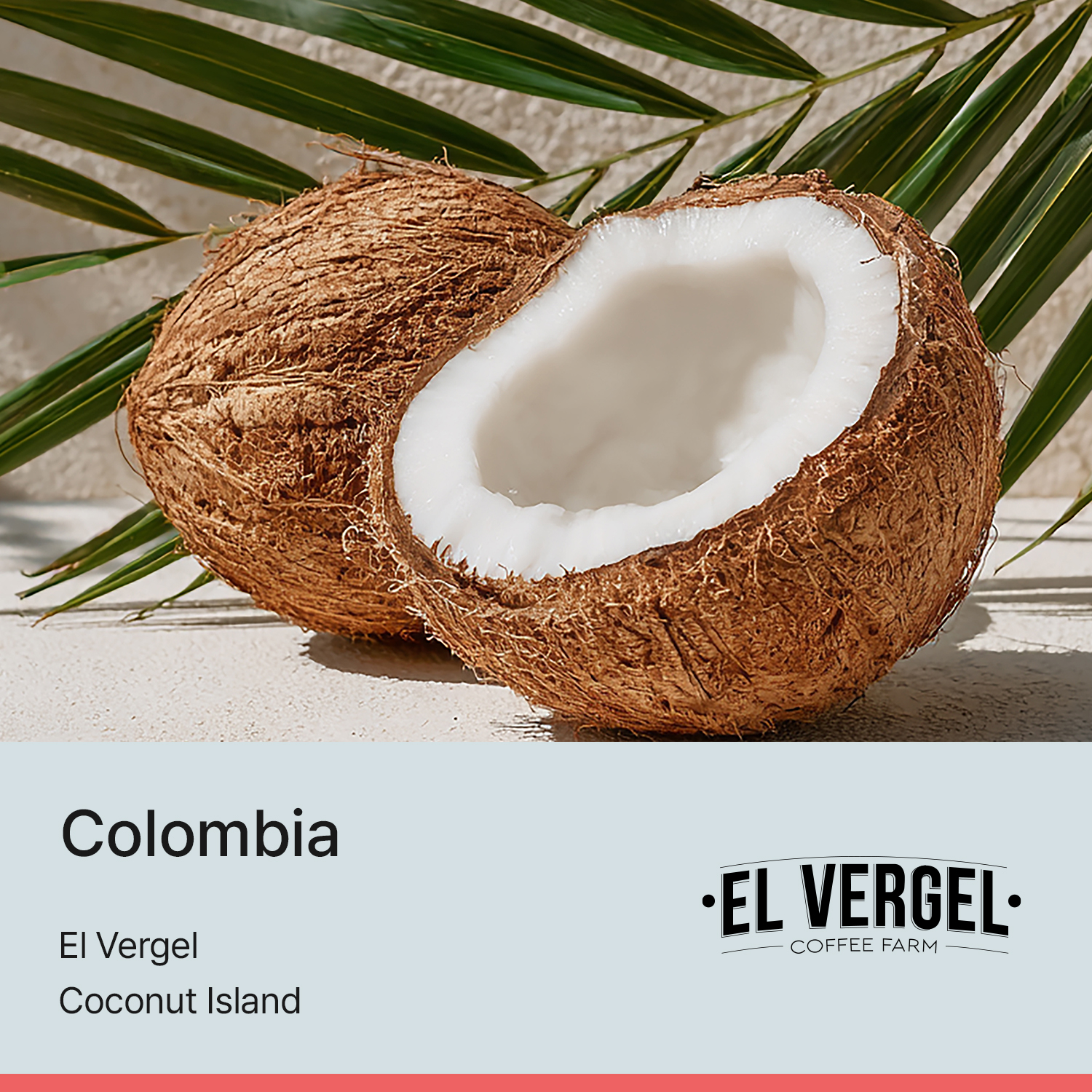 [콜롬비아] 코코넛 아일랜드