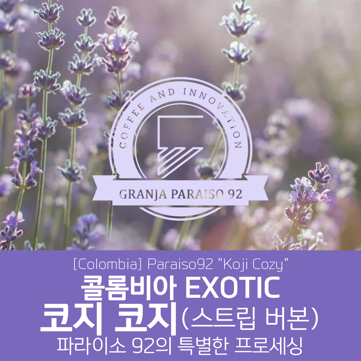 [콜롬비아] EXOTIC 파라이소 92 코지코지