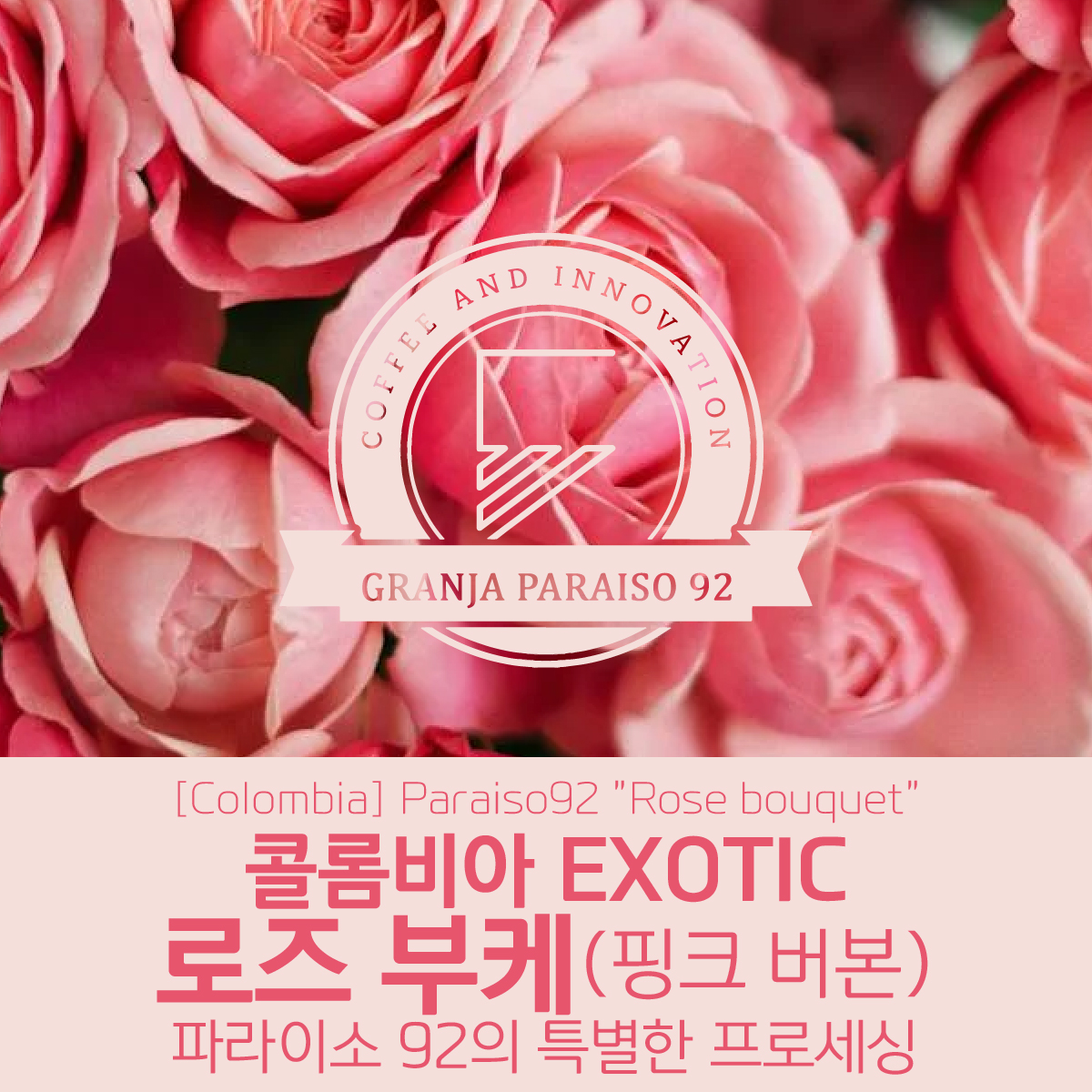 [콜롬비아] EXOTIC 파라이소 92 로즈 부케