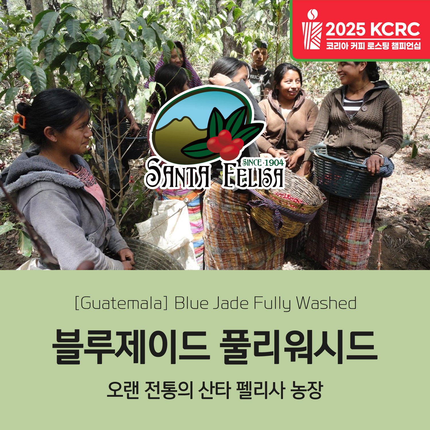 [가격인하][과테말라][산타펠리사] 블루제이드 풀리 워시드