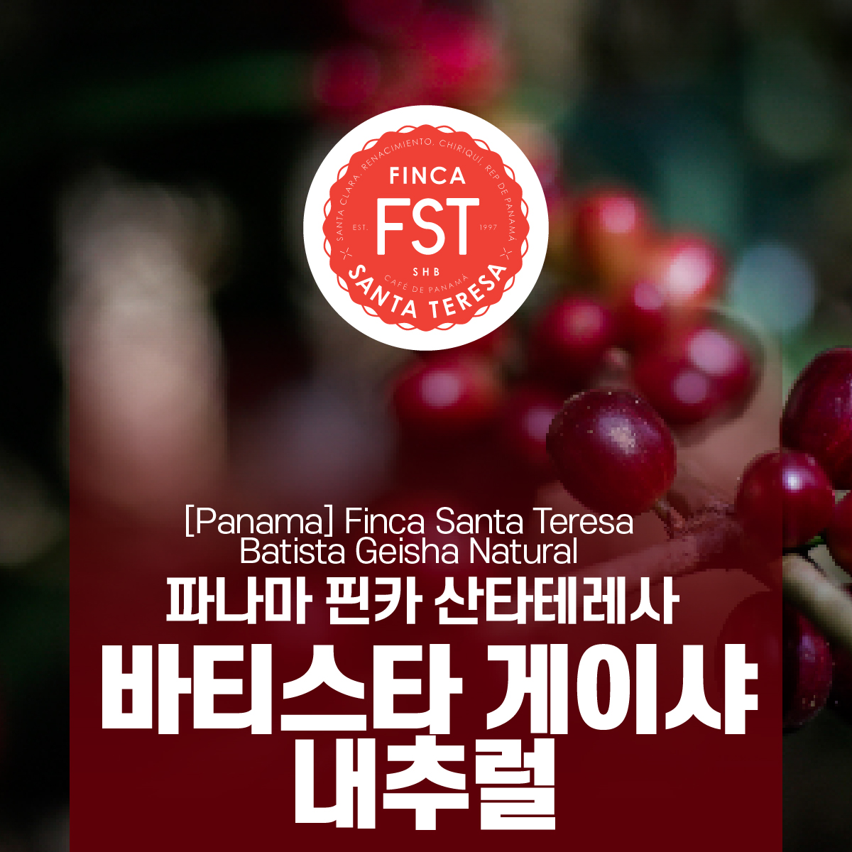 [가격인하][파나마] 핀카 산타테레사 바티스타 게이샤 내추럴