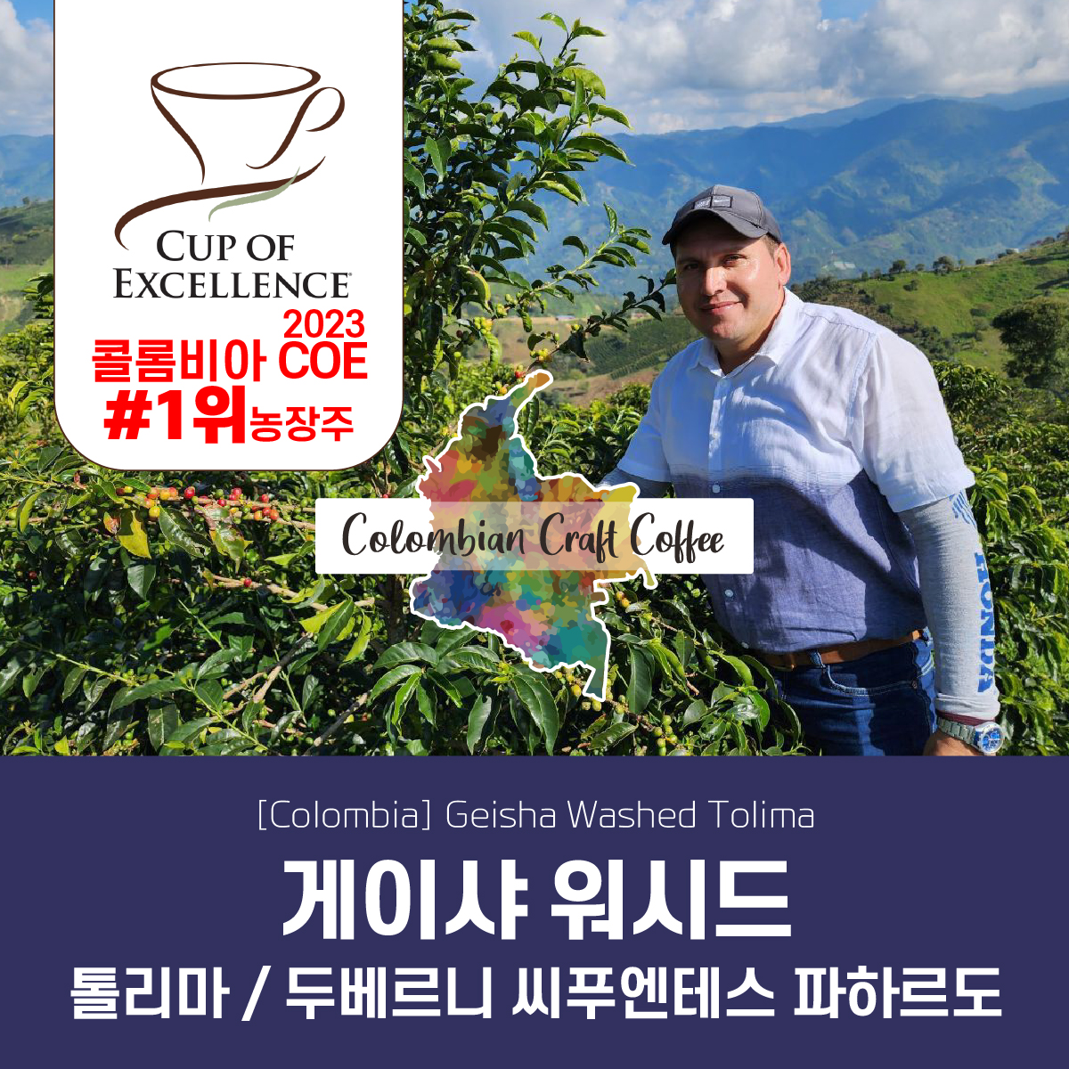[가격인하][콜롬비아]게이샤 워시드 / 톨리마 - 두베르니 씨퓨엔테스