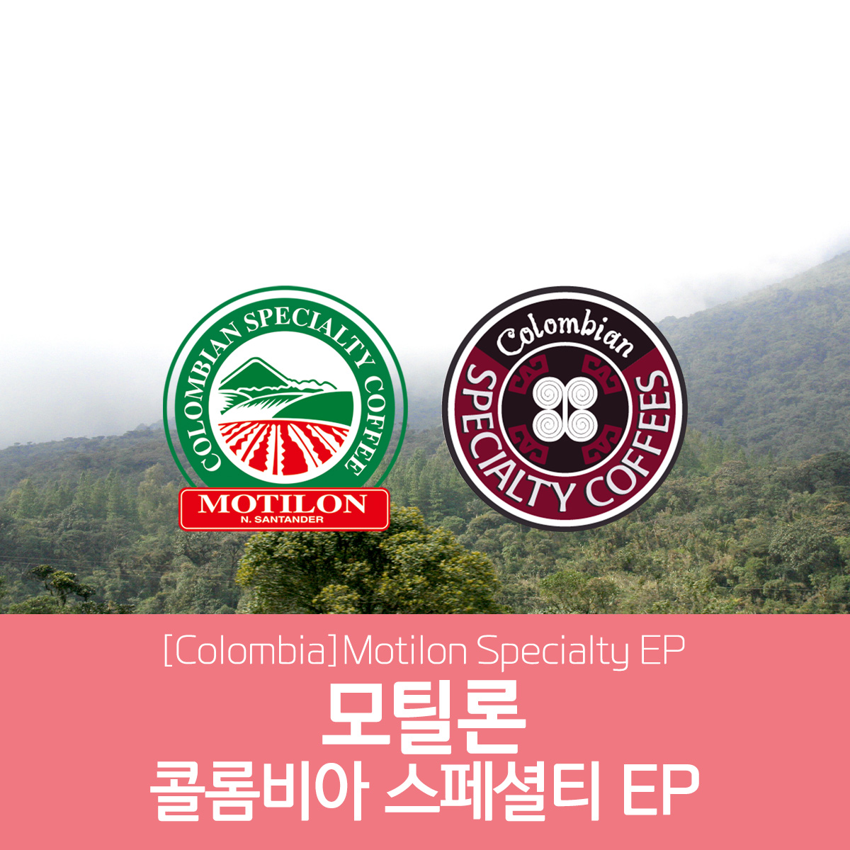 [콜롬비아] 모틸론 스페셜티