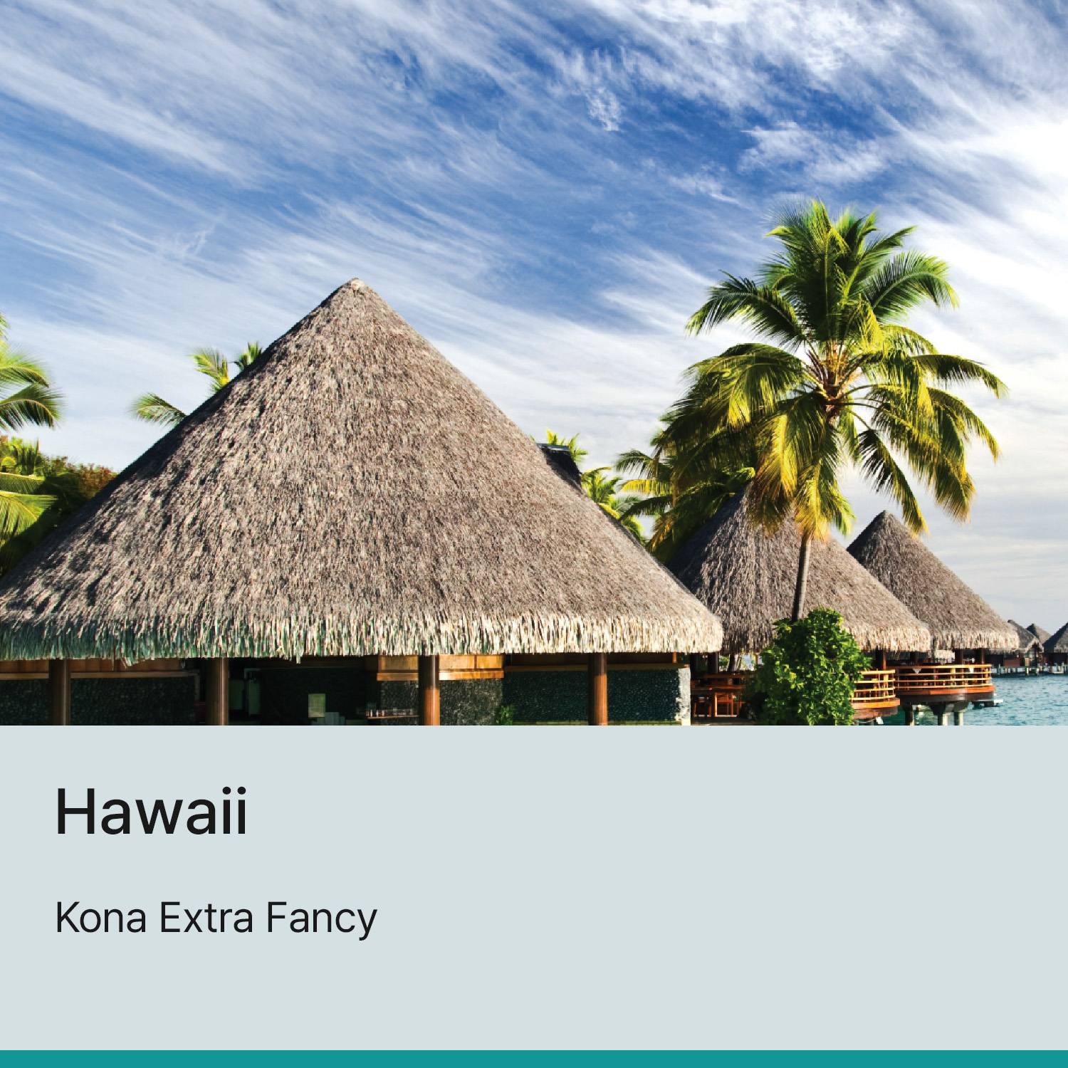 [하와이] 하와이안 코나 엑스트라 팬시