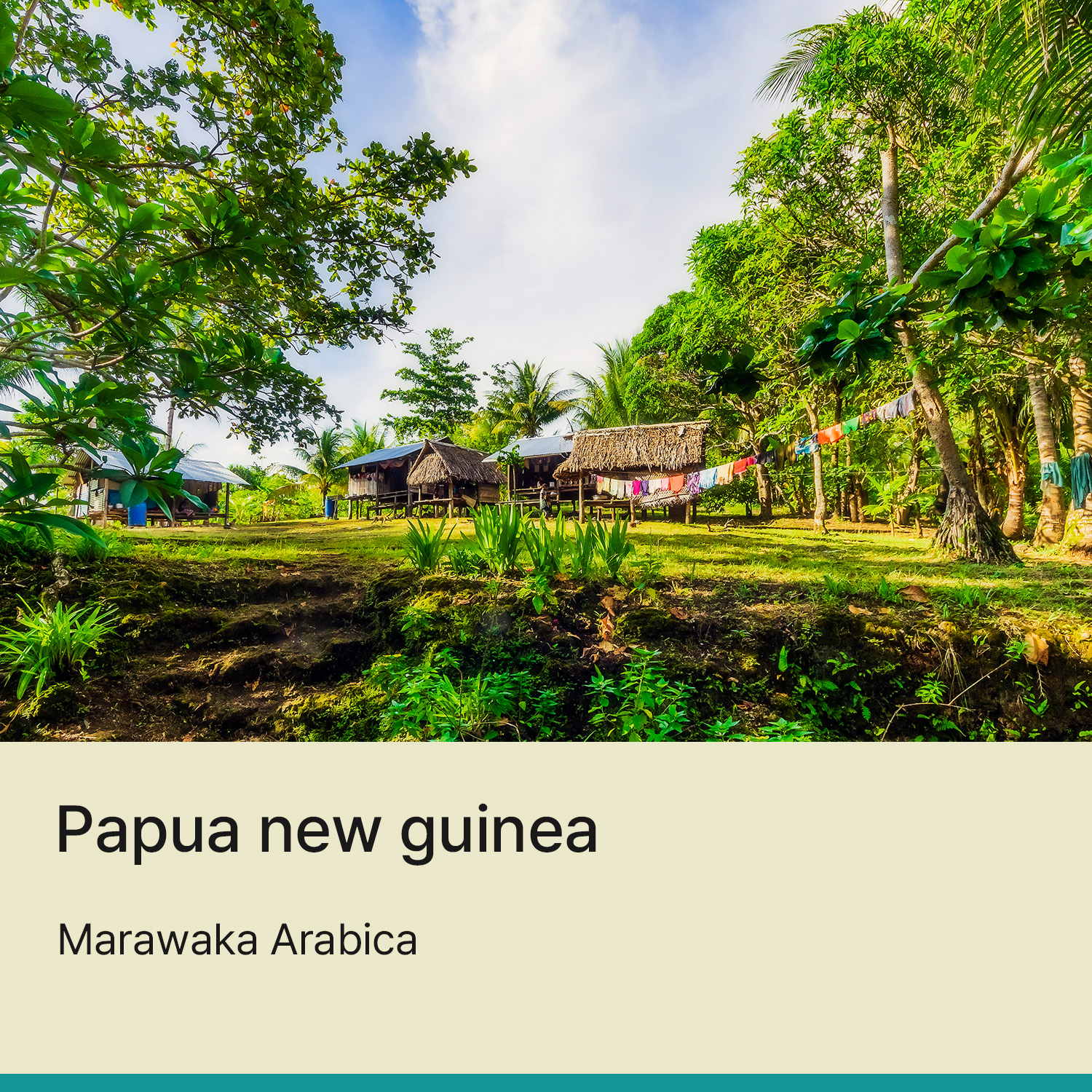 [파푸아뉴기니] 마라와카 아라비카