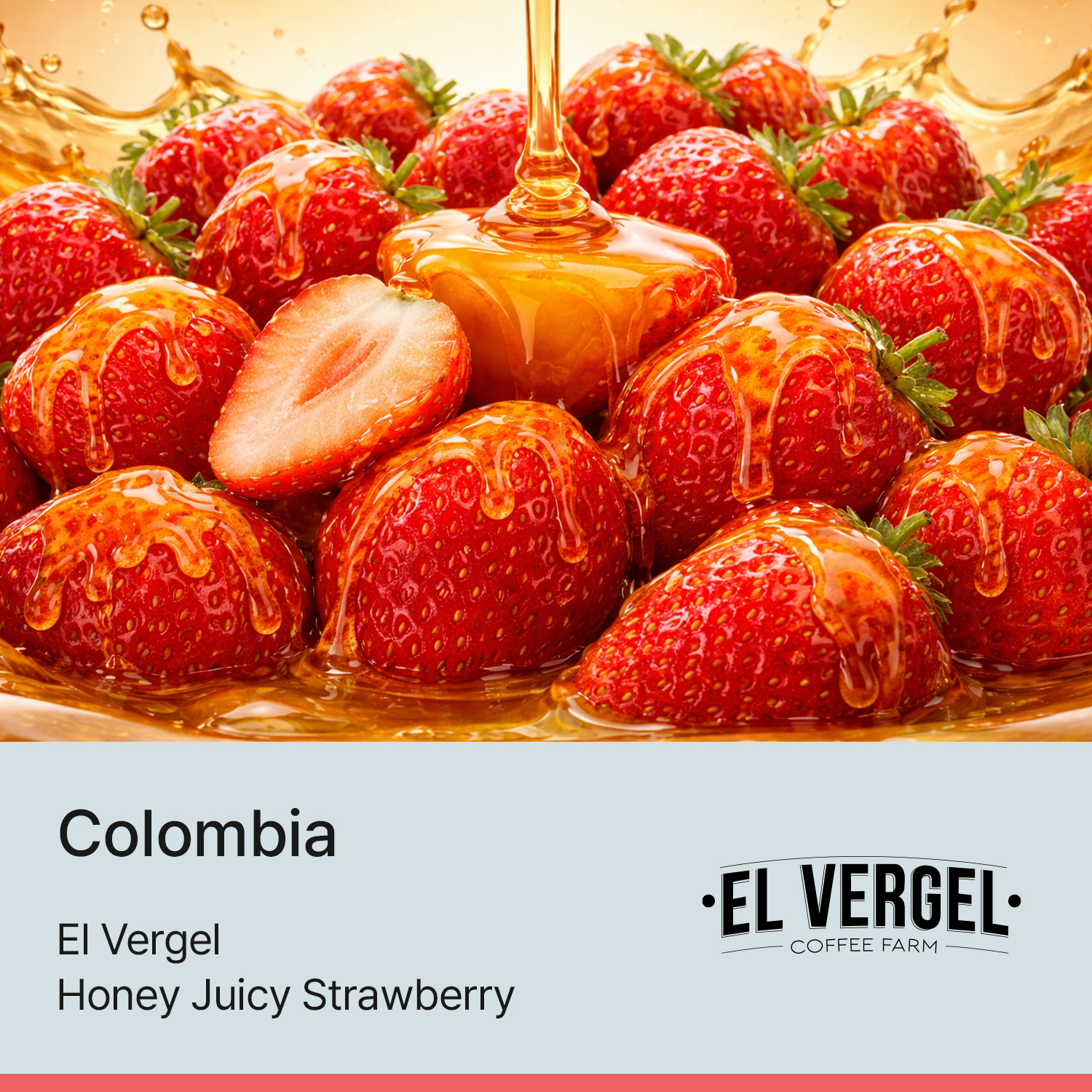 [콜롬비아] 허니 쥬시 스트로베리