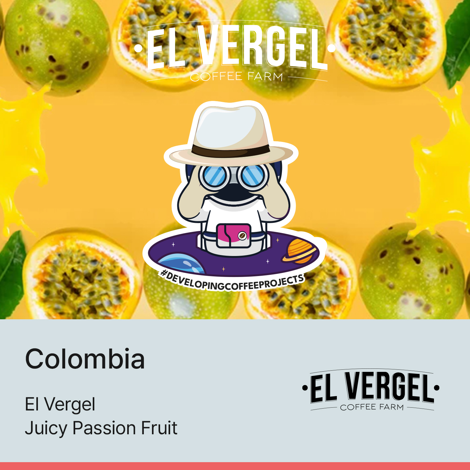 [콜롬비아] 쥬시 패션프룻