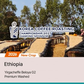 [에티오피아] 예가체프 벨로야 G2 프리미엄 워시드